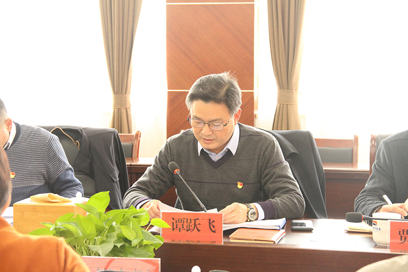 会上,谭跃飞代表公司领导班子通报了主题教育专题民主生活会会前准备